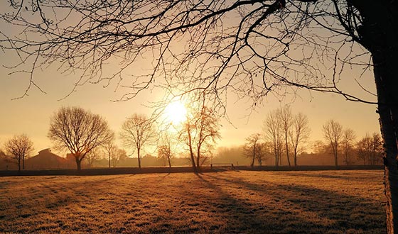 泰国必行景点，暑期好去处曼谷芭提雅必打卡