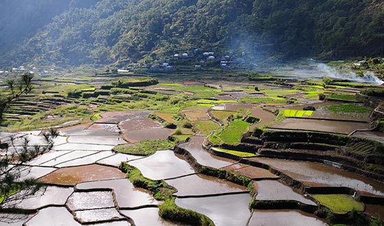 彩云之南，我心的方向