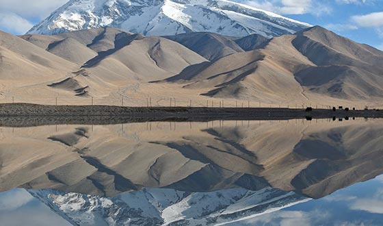 曼谷探店：如何把自己吃成一个“月半子”